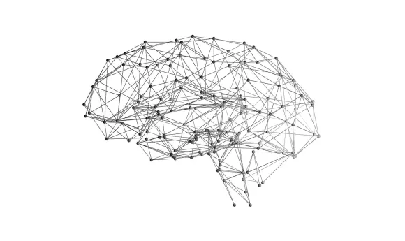 An executive primer image